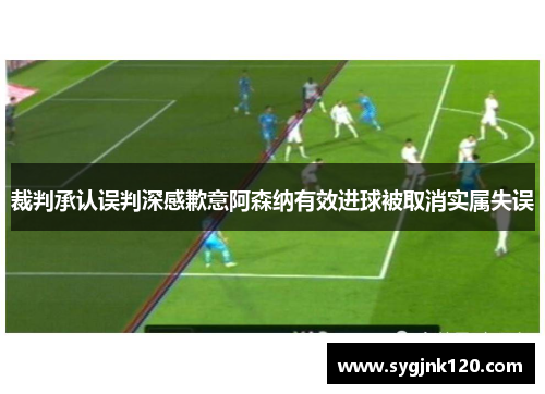 裁判承认误判深感歉意阿森纳有效进球被取消实属失误